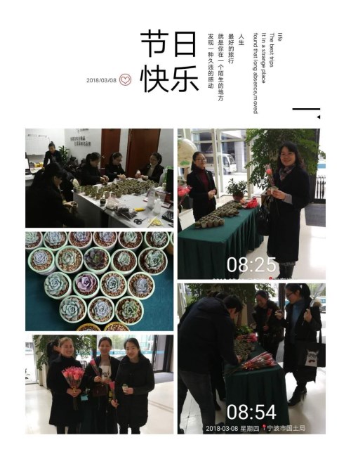 图片20_副本.jpg