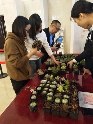 图片2_副本.jpg
