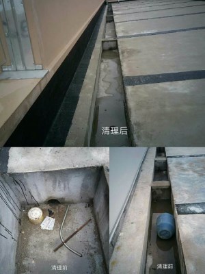 图片1_副本.jpg
