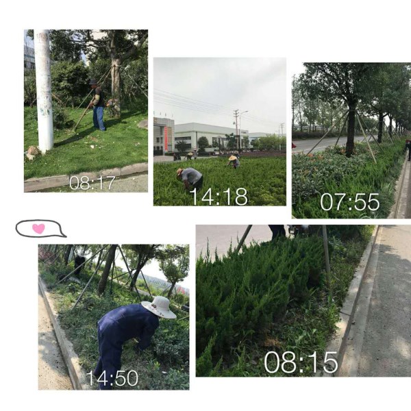 图片1_副本.jpg