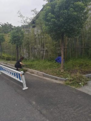 图片1_副本.jpg
