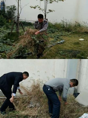 图片1_副本.jpg
