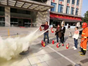 图片8_副本.jpg