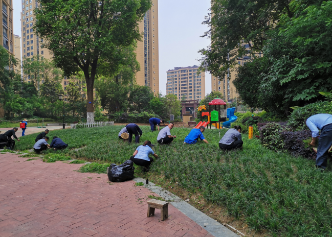 微信图片_20210524163248.png