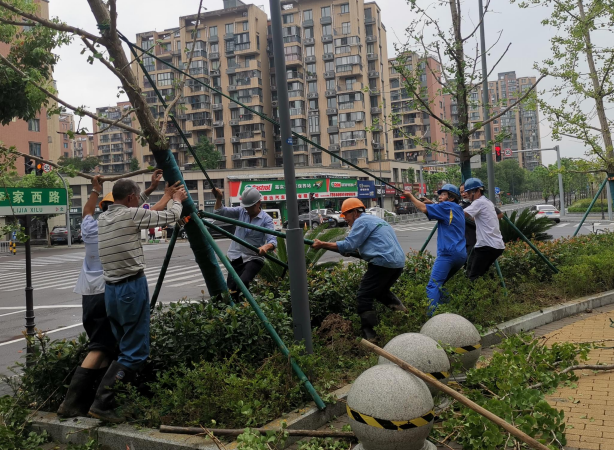 微信图片_20210805111715.png