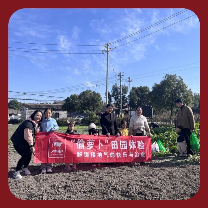 君湾中心：一场田园趣事，暖透邻里心房