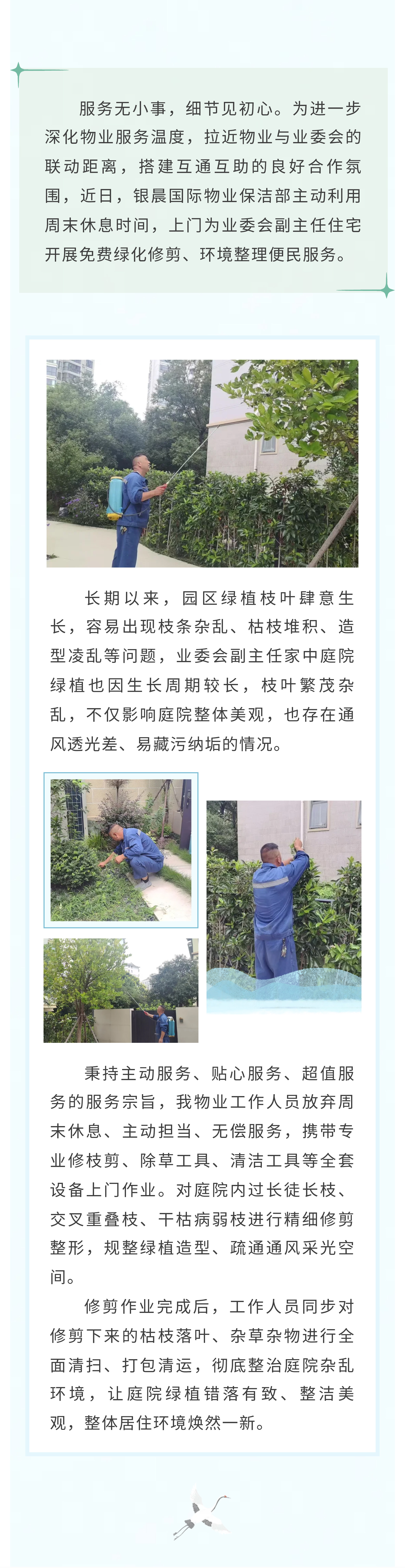 9-银晨国际.jpg
